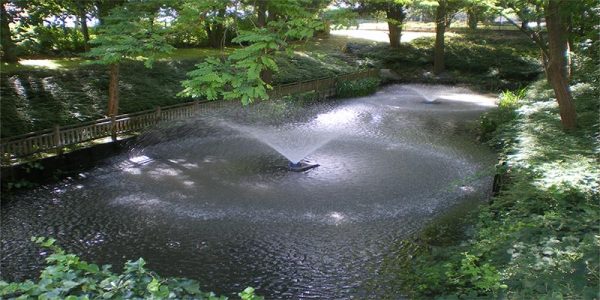 Terrain de sports